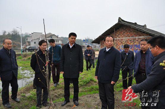 禹敏與第一師范黨委書記彭小奇商討白泥村脫貧攻堅工作