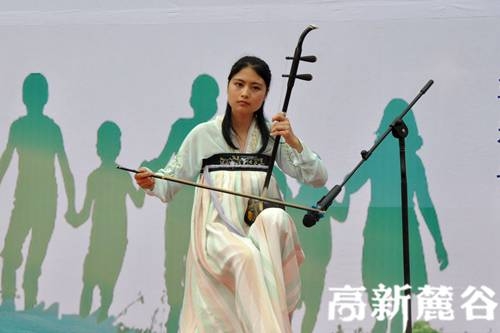 4.樂(lè)器表演《雨碎江南》讓人癡迷。葉小玲 攝.JPG
